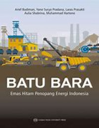 Batu Bara: Emas Hitam Penopang Energi indonesia