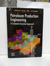 Petroleum Production Engineering A Computer Assisted Approach