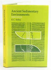 Ancient Sedimentary Enviroments and Their Sub-Surface Diagnosis